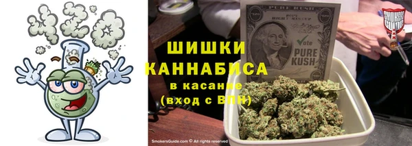 молекула духа Дмитриев
