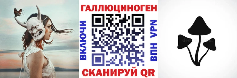 Псилоцибиновые грибы Psilocybine cubensis Дивногорск