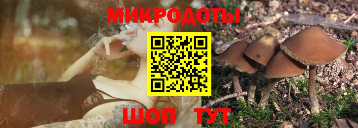 Дивногорск  Галлюциногенные грибы Cubensis  Вход с VPN 